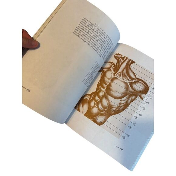 Dynamic Anatomy By Burne Hogarth Art Instruction Book - Picture 4 of 8
